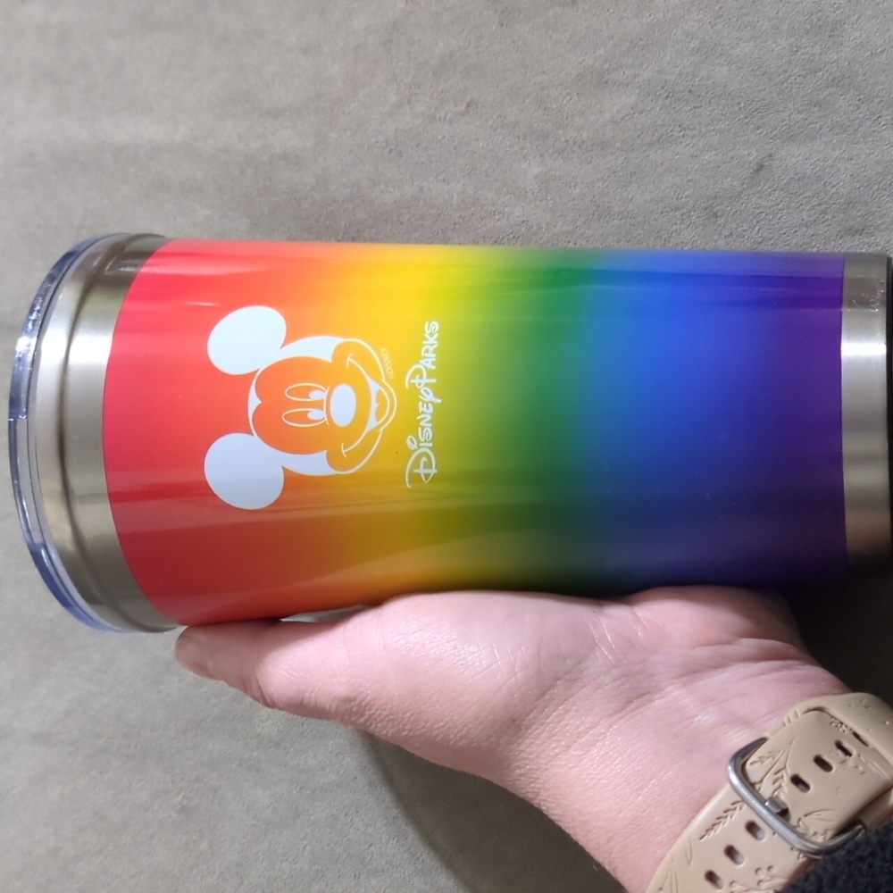 Disney Parks